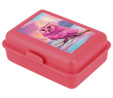 BAAGL Snackbox Eule / 17,8x6x12,2 cm