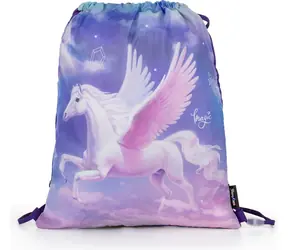 OXYBAG Trainingstasche 30x37cm Pegas