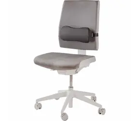 Fellowes BREYTA Lordosenstütze