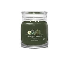 Yankee Candle Signature Silver Sage & Pine 368g - mittlere Kerze 2 Dochte / Brenndauer: bis zu 50 Stunden