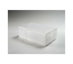 Compactor M Transparente Aufbewahrungsbox für Schuhe „Boote“ / 18 x 34 x 10 cm