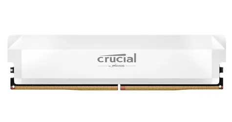CRUCIAL Pro OC Edition 16 GB (1x16 GB) 6400 MHz weiß / DDR5 / DIMM / CL38
