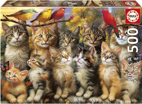 Educa Puzzle Katzen und Vögel / 500 Teile