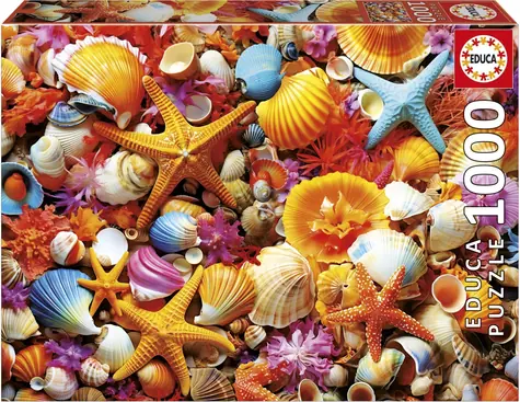Educa Puzzle Muscheln / 1000 Teile