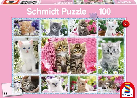 Schmidt Puzzle Kätzchen / 100 Teile / 36,1 × 24,3 cm
