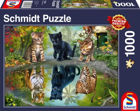 Schmidt Puzzle Dream Big / 1000 Teile