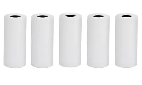 HELMER Thermoscheiben 55x25 mm weiß / Thermoscheibe / für Drucker TP01, TP02 / 5 Stück.