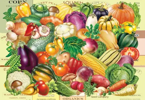GRAPHICS Puzzle „Gärtnerschatz“ / 1000 Teile / 69 x 47,8 cm