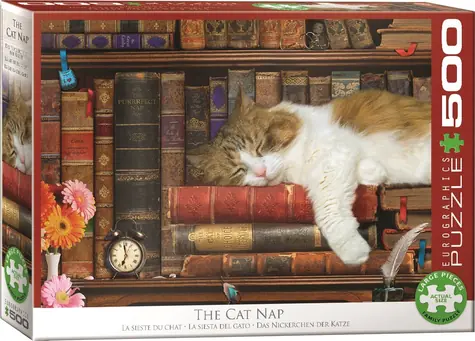 EUROGRAPHICS Puzzle Katzenschläfchen XL / 500 Teile