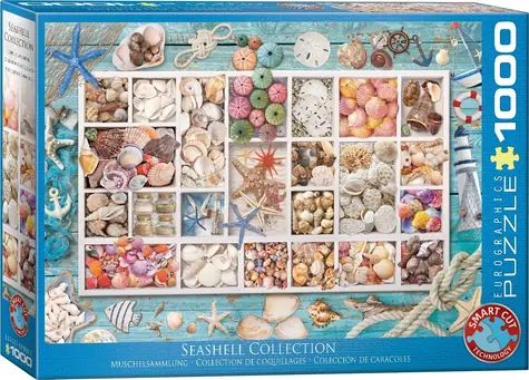 EUROGRAPHICS Puzzle Lauras Muschelsammlung / 1000 Teile / 68 × 48 cm