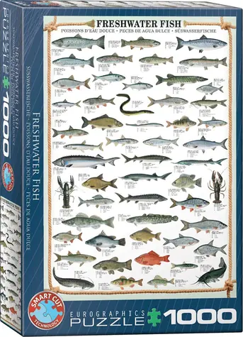 EUROGRAPHICS Puzzle Süßwasserfische / 1000 Teile / 48,89 x 67,63 cm