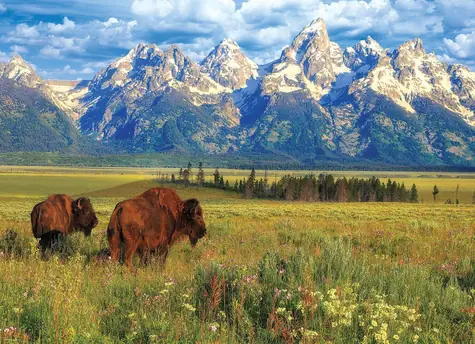 EUROGRAPHICS Puzzle Grand-Teton-Nationalpark / 1000 Teile / 68 × 48 cm