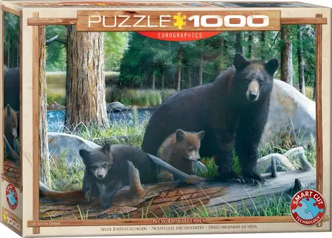 EUROGRAPHICS Puzzle Neue Entdeckungen / 1000 Teile / 68 × 48 cm