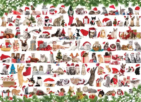 EUROGRAPHICS Puzzle Weihnachtskatzen / 1000 Teile / 67,6 × 48,9 cm