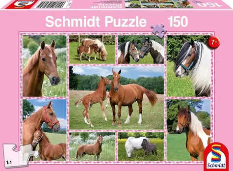 Schmidt Puzzle Schöne Pferde / 150 Teile / 43,2 × 29,1 cm