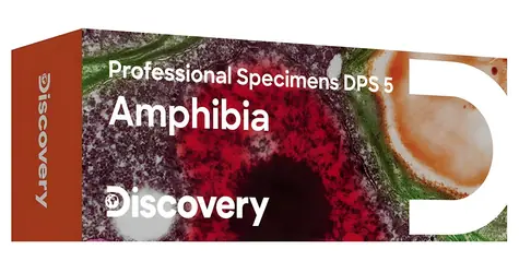Discovery Prof Specimens DPS 5 / Set mit fertigen Präparaten / Amphibien