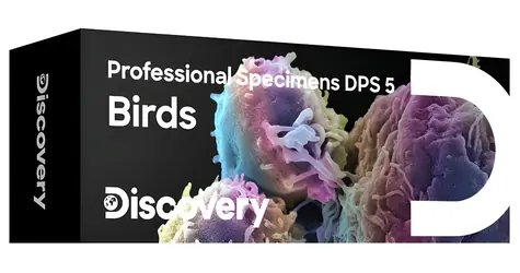 Discovery Prof Specimens DPS 5 / Set fertiger Präparate / Vögel