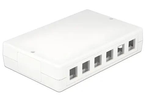 DeLock Keystone Box 12-Port / Installationsbox / ohne Montage