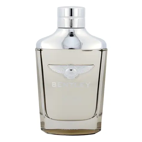 Bentley Infinite Eau de Toilette 100 ml
