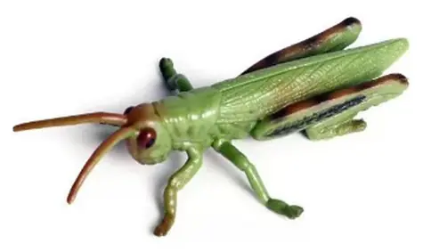 Rappa Figur Heuschrecke / Insekt / 9 cm / Kunststoff