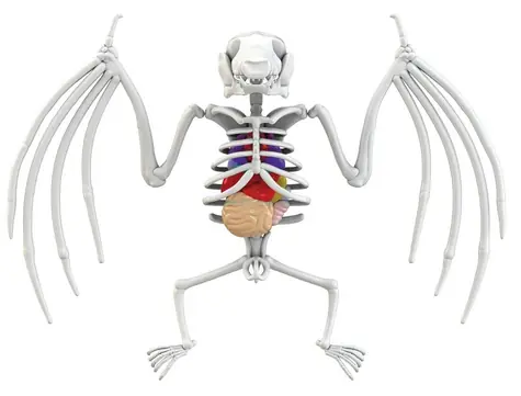 Simba Entdecke Fledermaussektion / lila Schleim / 15 cm