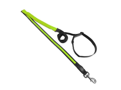 Dog Fantasy USB LED Nylon Laufleine grün 2,5x180-250 cm