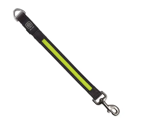 Dog Fantasy USB LED Nylonleine, umschaltbar, leuchtend grün, 2,5x39 cm