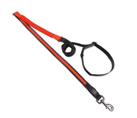 Dog Fantasy USB LED Nylon Laufleine orange 2,5x180-250 cm