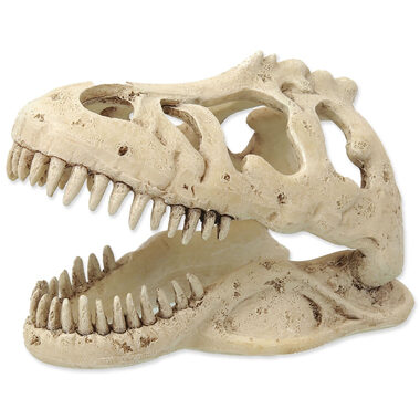 Repti Planet Dekoration T-REX-Schädel 13,3x8,5x9cm