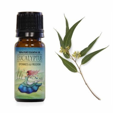 Airbi Ätherisches Öl EUKALYPTUS 10 ml