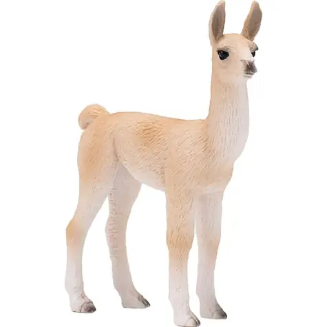 Mojo Lama Jungtier / ab 3 Jahren