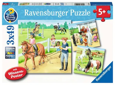 Ravensburger Pferde / 3x49 Teile / ab 5 Jahren 