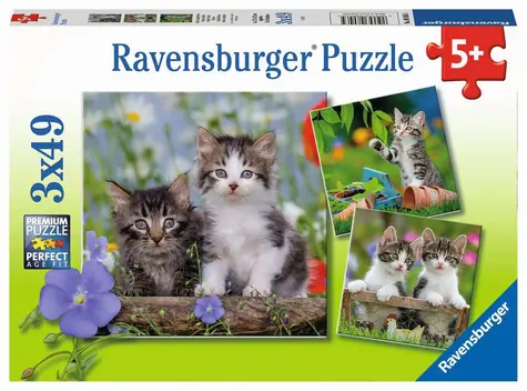 Ravensburger Kätzchen / 3x49 Stück / ab 5 Jahren 