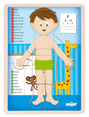 Woody Puzzle Menschlicher Körper - Junge SK / ab 3 Jahren