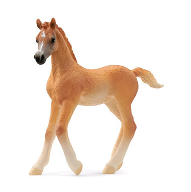 Schleich Horse Club 13984 Araberfohlen / ab 3 Jahren 