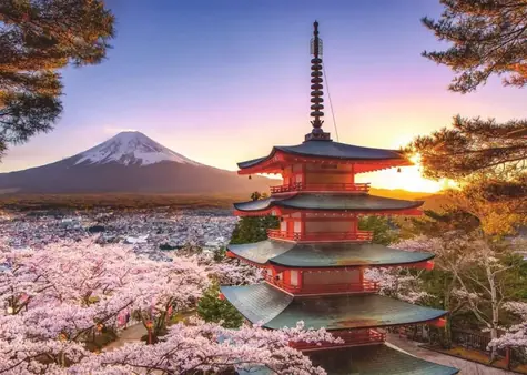 Ravensburger Kirschblüten in Japan / 1000 Stück / ab 14 Jahren