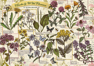 Trefl - Puzzle - Herbarium: Heilkräuter / 500 Teile / 48 x 34 cm / ab 10 Jahren