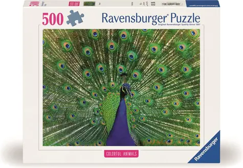 Ravensburger Puzzle: Majestätischer Pfau / 500 Teile / ab 12 Jahren 