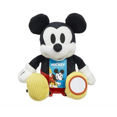 Regenbogen-Plüsch-Mickey-Maus-Aktivität / 0+