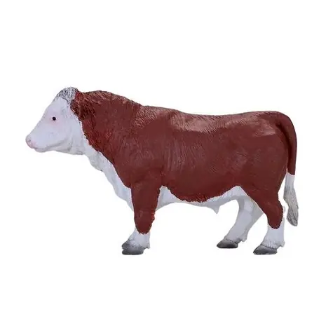 Mojo Hereford Bulle / ab 3 Jahren
