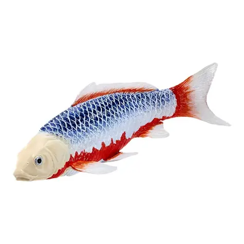 Mojo Carp Koi Asagi / ab 3 Jahren
