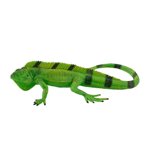 Mojo Iguana / ab 3 Jahren