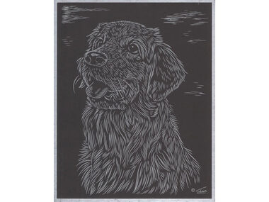 GRAFIX Silbernes Kratzbild Hund / ab 7 Jahren