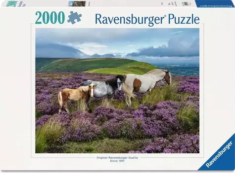 Ravensburger 120017516 Wildpferde, 2000 Teile / ab 14 Jahren / Version: International