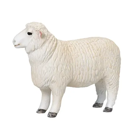 Mojo Aries Romney Marsh / ab 3 Jahren