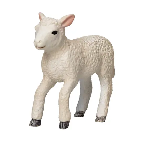 Mojo Lamb Romney Marsh Running / ab 3 Jahren