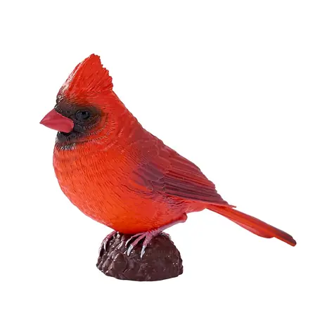 Mojo Cardinal rot / ab 3 Jahren