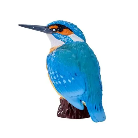 Mojo Kingfisher / ab 3 Jahren