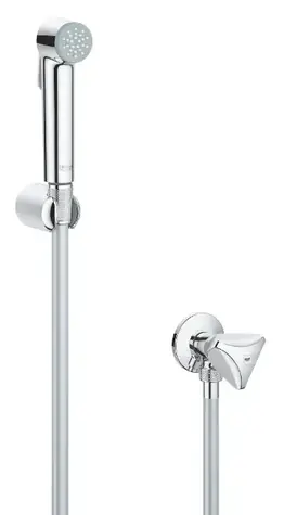 Grohe Tempesta - Wand-Eckarmatur mit Handbrause und Bidet, verchromt 