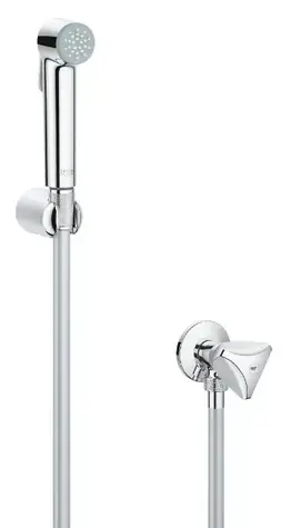 Grohe Tempesta-F - Wandarmatur mit Handbrause und Bidet, verchromt 